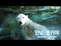 Last Polar Bear in Korea Unexpectedly D‌‌i‌e‌‌‌‌s Before Sanctuary Release