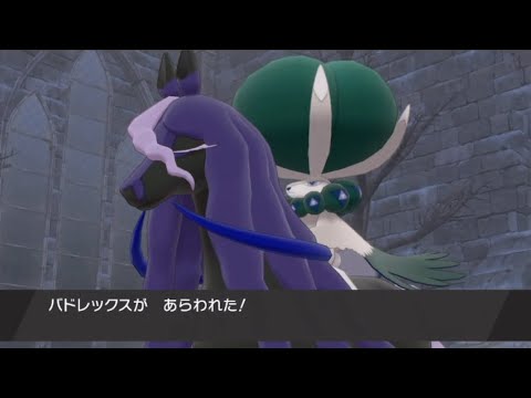 ポケモン剣盾 冠の雪原 バドレックス捕獲イベント Youtube