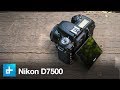 Nikon D7500 - Hands On Review