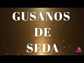 GUSANOS DE SEDA - W32