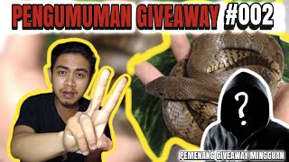 PENGUMUMAN GIVEAWAY MINGGUAN #002 | COLUBRID WORLD