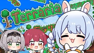 【テラリア/Terraria】初見でテラリア始めてみる！3日目ぺこ！【ホロライブ/兎田ぺこら】