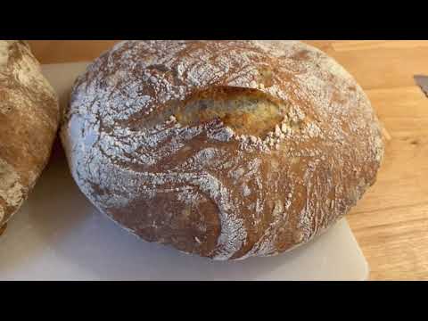 Video: Jaký je nejlepší chléb panini?