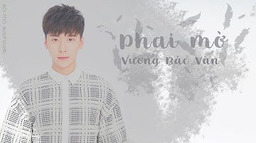 [Vietsub] [Vương Bác Văn] Phai mờ (飘零)