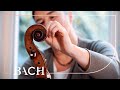 Swarts on the cello BWV 1007 | Netherlands Bach Society