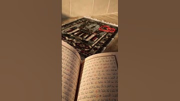 سورة يوسف #القرآن_الكريم #قرآن #اكسبلور #المصحف #راحة_نفسية #اسمعنا #quran #لايك