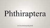 phthiraptera pronounce