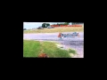Down W/Distractions | Dallas Best Dog Training | Danny's Pack Dog Training and Behavior Solutions Down W/Distractions | Dallas Best Dog Training | Danny's Pack Dog Training and Behavior Solutions