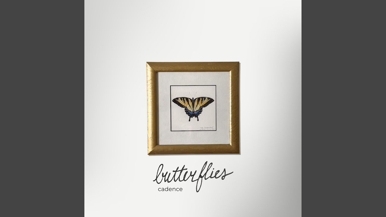 Watch butterflies (strings Version) on YouTube Watch butterflies (strings Version) on YouTube