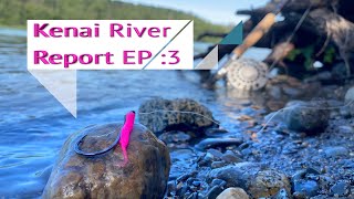 Kenai River Alaska Sockeye Salmon Fishing Report! Secret Spot Soldotna Update!