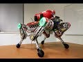 Undergraduate Final Year Project Legged Robot