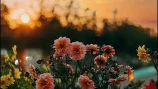 Video Background Easyworship Penampil lagu rohani