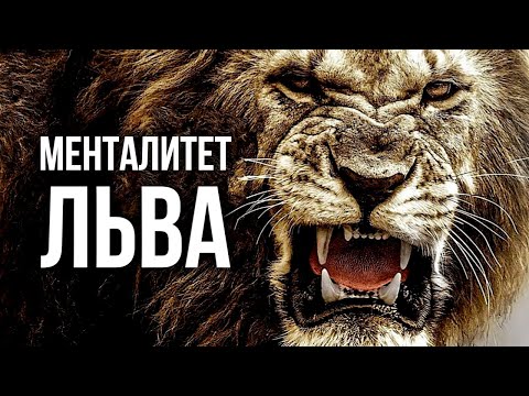 Менталитет Льва - Мотивационное Видео Номер 1