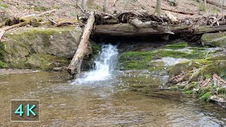 Stream Flowing Down Mossy Rock - No Birds - 10 Hours Water Sounds - Nature Background - 4K - March