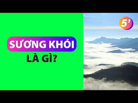 Video: Tại sao LA có sương khói?