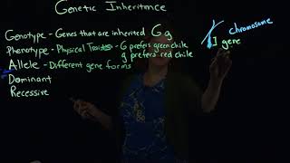 Genetic Inheritance 1