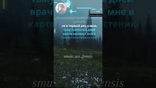 Элли на маковом поле - любовь моя. Тгк - 🎶Комнатушка Музыканта🎶 @smulefrensis