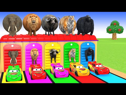 5 Giant Duck Cartoon,Cow,Elephant,Tiger,Lion,Gorilla, Paint Wild Animals Crossing Fountain Animation