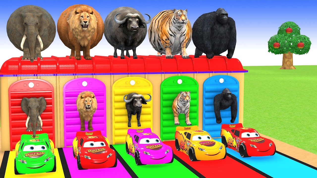 5 Giant Duck Cartoon,Cow,Elephant,Tiger,Lion,Gorilla, Paint Wild Animals Crossing Fountain Animation