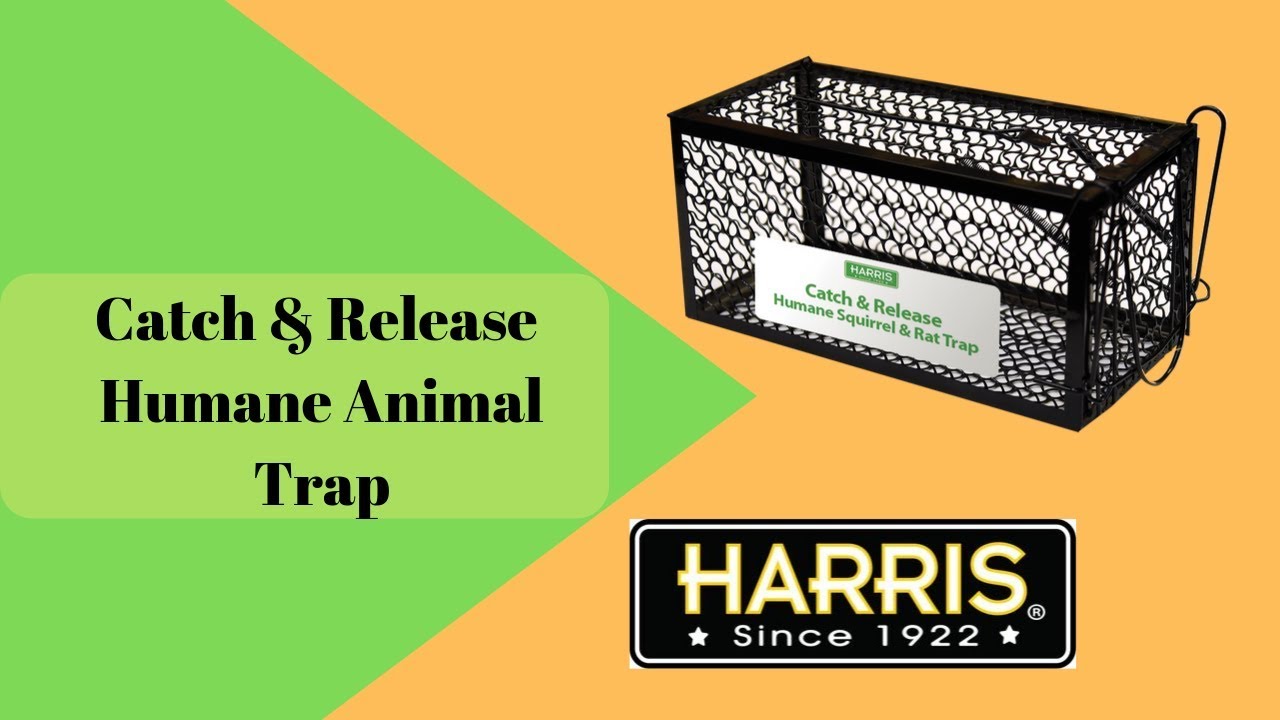 1-10Pc Rats Mice Chipmunks Rodents Live Humane Cage Trap Animal Pest Control 