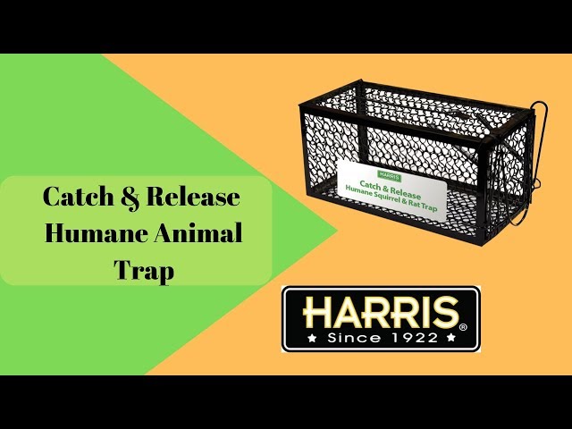 Harris Catch & Release Humane Squirrel & Rat Trap 