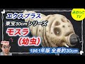 エクスプラス 東宝30cmシリーズ モスラ1961 幼虫 フィギュア】【エクスプラス】モスラ（幼虫）1961年版 東宝30cm