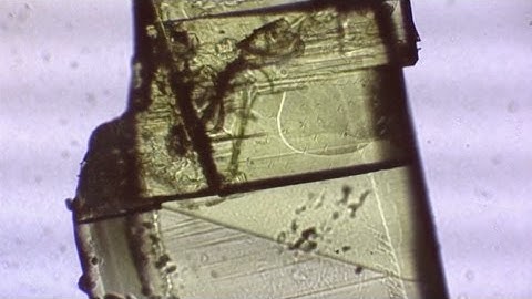 Phase transition in a helquat crystal