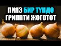 Пияздын 10 пайдасы / Бир Түндө Гриппти Жоготот / таң калычтуу / Пайдалуу Кеңештер