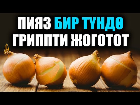 Video: Мышыктар менен иттер үчүн кургак тамакты кантип жасаш керек?