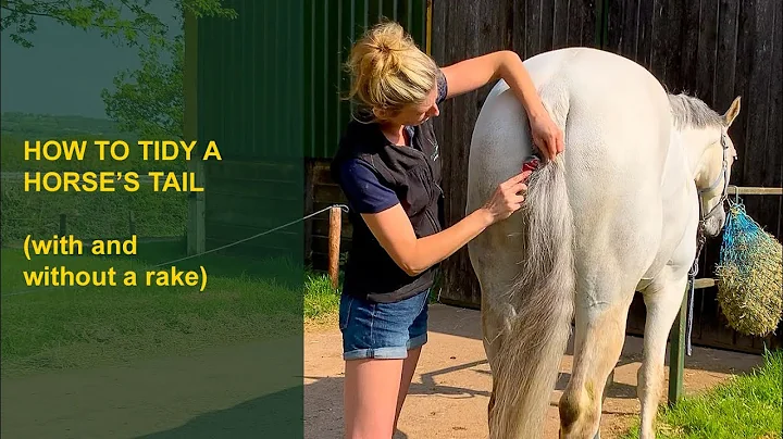 HOW TO TIDY AND TRIM A HORSES TAIL with and withou...