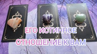 4 короля. Его истинное отношение к вам.