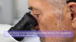 OPS (Open Pulled Straw) vitrification - from VitaVitro