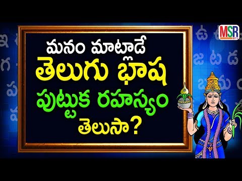 తెలుగు భాష చరిత్ర | తెలుగు భాష పుట్టుక రహస్యం తెలుసా? | MSR TV