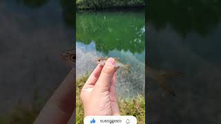 Session De Pêche Êche .