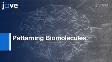 Antifouling Self-assembled Monolayers-Microelectrodes For Patterning Biomolecules l Protocol Preview