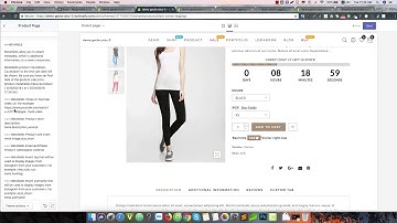 Gecko Shopify Theme - Product video