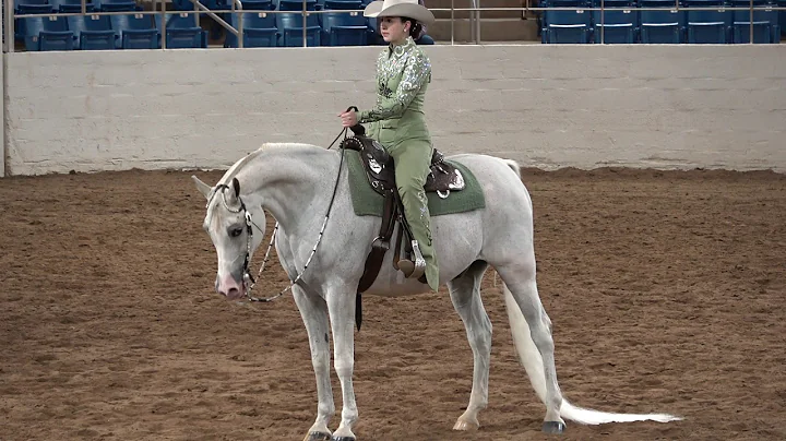 Scottsdale Arabian Horse Show 2021 Western Pleasure