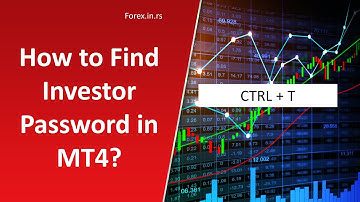 How to Find Your Investor Password in MT4?