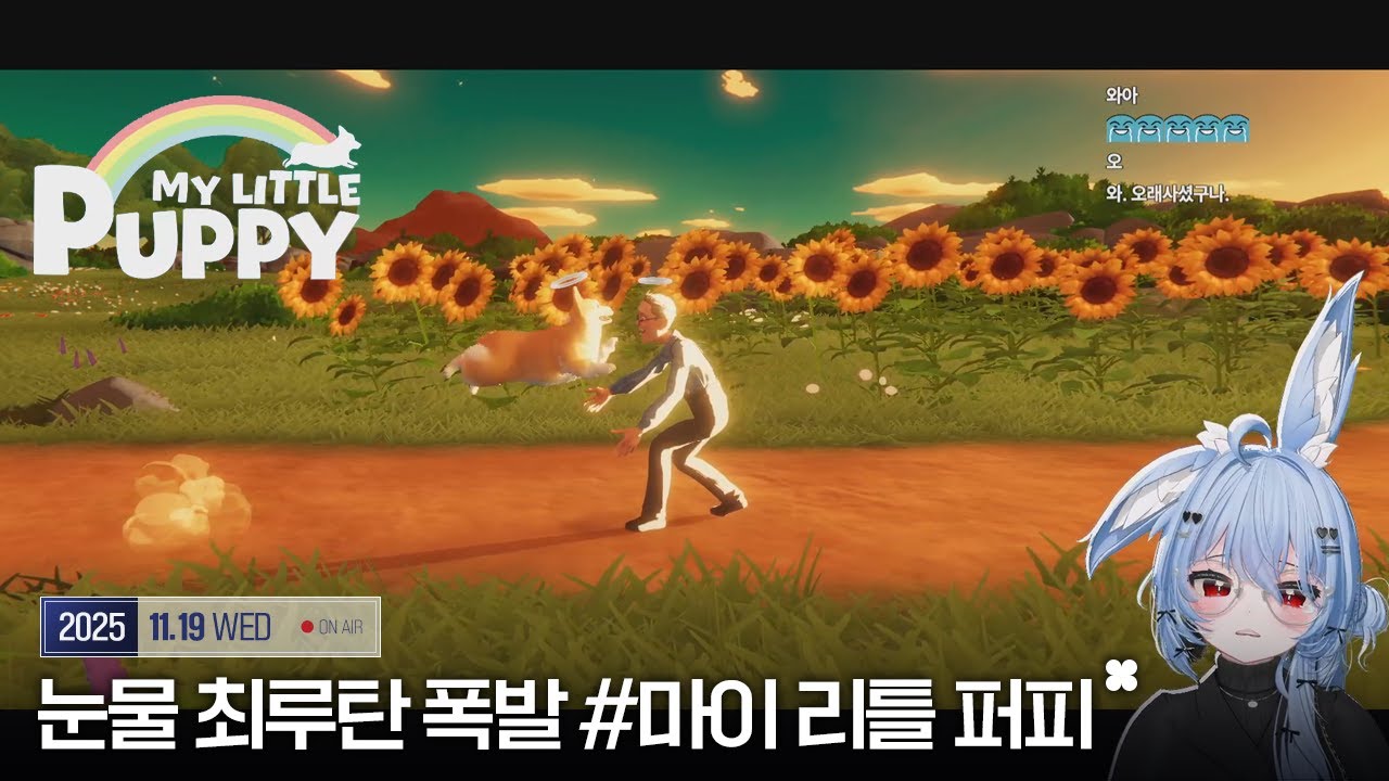 20251119 - 강아지별에서 주인을 기다리는 봉구의 이야기 'My little puppy' [사사44 킹시보기]