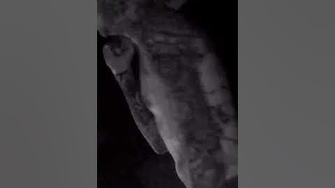 Caskey - untitled (“Vegas”) snippets (Prod. by Taysty)