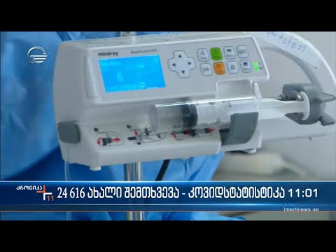 ქრონიკა 11:00 საათზე - 8 თებერვალი, 2022 წელი