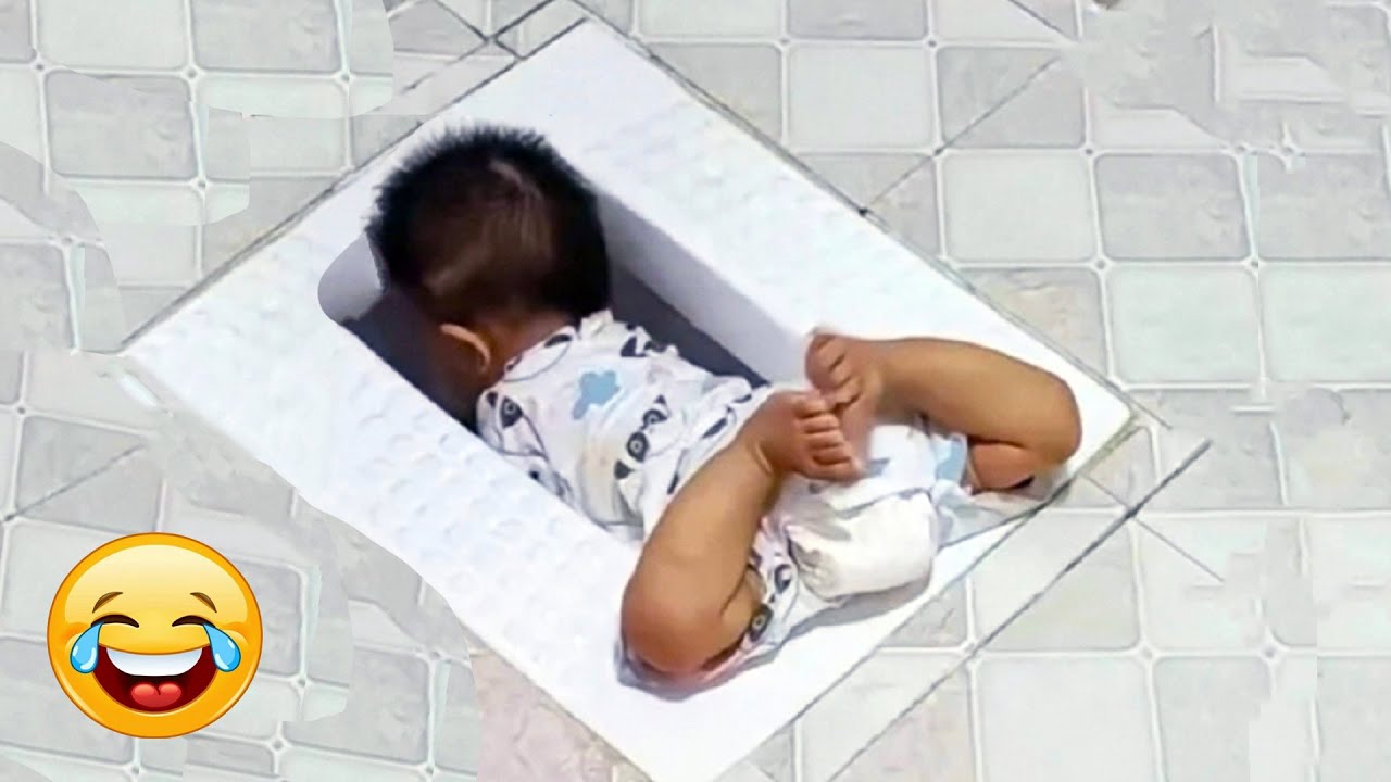 حاول ألا تضحك 2025   أفضل الميمات ومقاطع الفيديو المضحكة الجزء 23