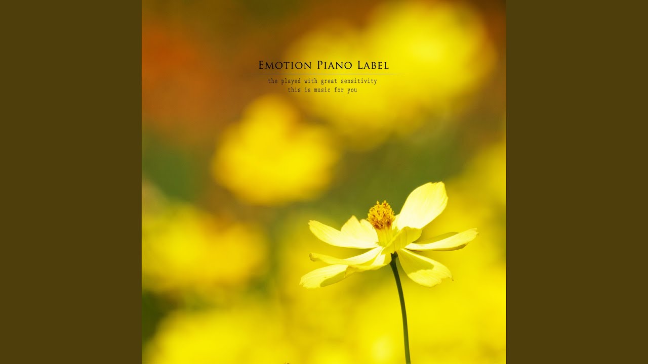 A flower dancing in the wind YouTube