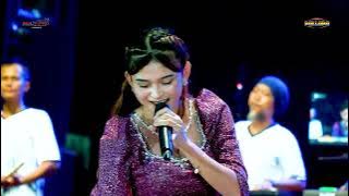 LAUT   FEBY MAHARANI | NEW PALLAPA MINA SANTOSA 2024