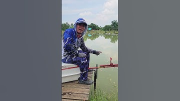 bộ ngoe tự đóng cá giúp cứu cánh cho anh em câu cá lật vợt hay mất cá #cauca #dungnguyenfishing
