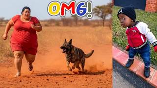 Laugh Challenge: Craziest and Funniest Moments Compilation