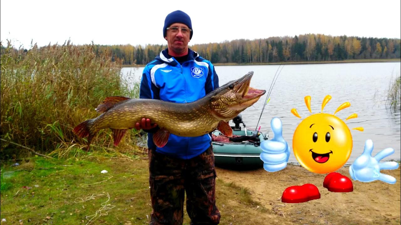 Трофейная Щука на 10 кг 200 грамм. My fishing. - YouTube