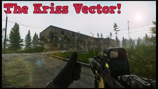 The KRISS VECTOR Is INSANE In Escape From Tarkov!