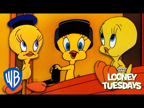 Looney Tuesdays | Top 10 Cutest Moments from Tweety Bird 🐥 | Looney Tunes | @WB Kids