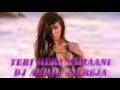 Teri Meri Kahaani (Remix) - DJ Akhil Talreja